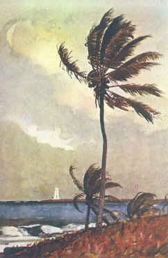 Winslow Homer Palm Tree, Nassau oil painting picture
